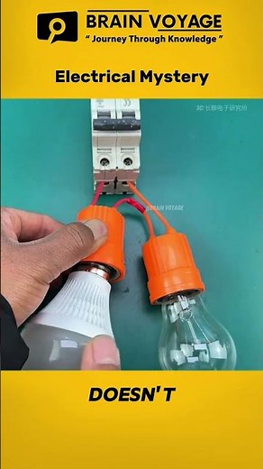 Why Does the LED Light Up but the Incandescent Bulb Doesn’t? Strange Series Circuit Phenomenon! #diy