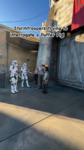Stormtroopers vs. Puffer Pig: The Galaxy's Funniest Interrogation! 🐷🤣 #StarWars #Stormtrooper #Disney #Disneyland #DisneyParks #DisneyMagic Star Wars | Elijah Bergwitz