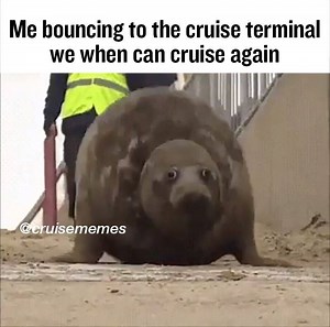 Cruise Memes on Reels