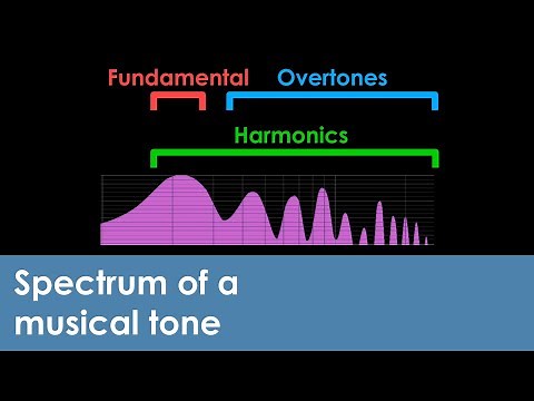 What are the fundamental frequency and harmonics in a musical tone?