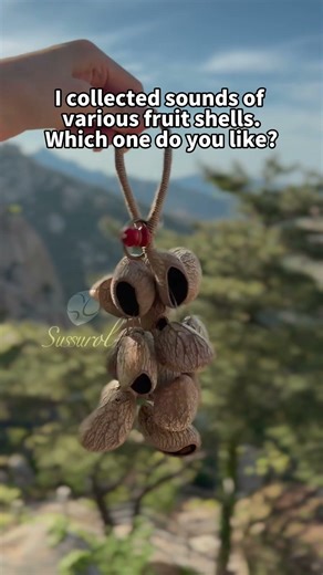 Which Natural Fruit Shell Sound Do You Prefer? 🌰🔊