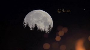 222K views · 10K reactions | Sometimes your heart needs more time to accept what your mind already knows. - Amrit | 5 AM | Facebook