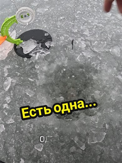 Catch a Pike on Live Bait: Fishing Tips and Tricks