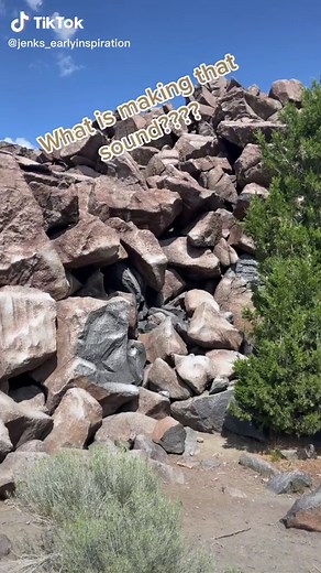“Ringing Rocks” a rare geological experience in Montana #montana #familyadventure #naturesounds #ringingrocks