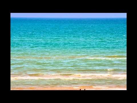 SeaBreeze Beach Resort (Condo Rentals) - South Padre Island, Tx