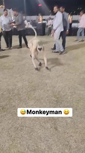 155K views · 215K reactions | Jacky wadhavani monkey man #jackywadhavani #comedy #funnyvideo #india #comment #facebook #instagram #funny #monkeylove #gujarat | Jacky Wadhvani | Facebook