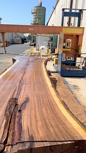 5.9K views · 1K reactions | Fresh off the mill, this Claro Walnut log has some of the richest color and grain you’ll ever see. To preserve every inch of its beauty, we’re sealing the ends with Anchorseal, a protective wax coating that slows down the drying process. By reducing rapid moisture loss, we can prevent cracks and checks, keeping this premium wood intact and ready to be transformed into stunning veneer. | GL Veneer, Inc. | Facebook
