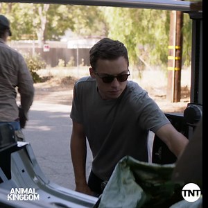 50K views · 2.1K reactions | Sighted in the wild: a rare moment of Pope and J on the same page. #AnimalKingdom | Animal Kingdom TNT | Facebook