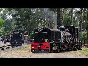 Double Headed Garratt Locomotives on the Puffing Billy Railway | Official Launch of NG/G16 129