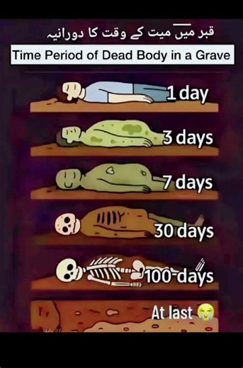 "The Decomposition Process of a Dead Body in a Grave – What Happens After Death?"