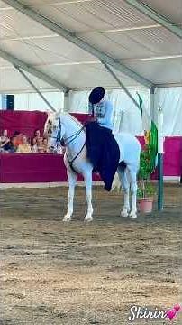 The Andalusian Horse, Star of Málaga’s Summer Fair August 2025