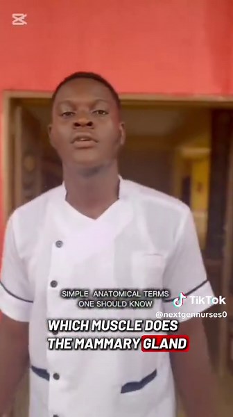 Understanding Anatomical Terms for Nursing Students