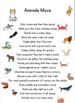 Animals Move