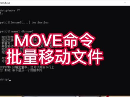 批量移动文件 #轻松办公 #dos #windows #上热门