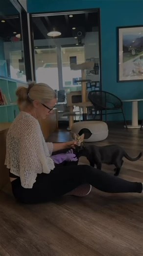 Frisky Business Palm Springs Cat Cafe on Reels