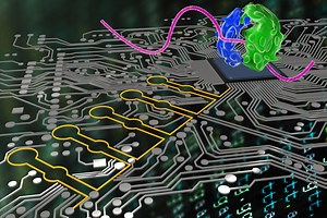 Ribocomputing: leveraging RNA for computation in the cell - IEEE Future Directions