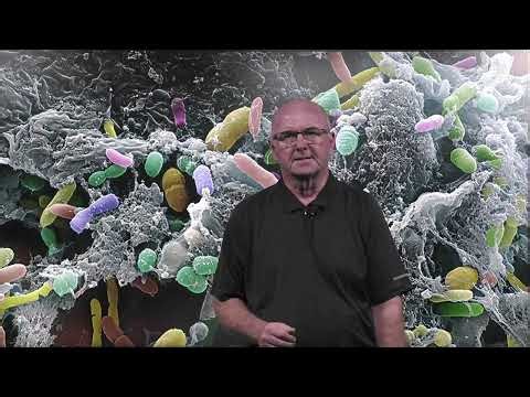 A brief introduction to metagenomics