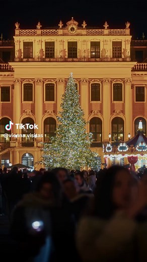 Enchanting Christmas Market at Schönbrunn Palace in Vienna