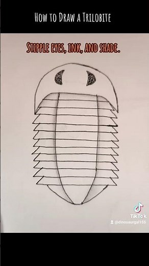 How to Draw a Trilobite