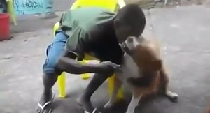 Damn: Dog Bites Man In The Face!