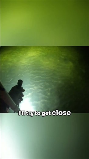This Flounder Wasn't Getting Caught