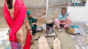 109K views · 2.5K reactions | Harman & Gagan vlog8 | Harman Rajgarhia Tv | Facebook