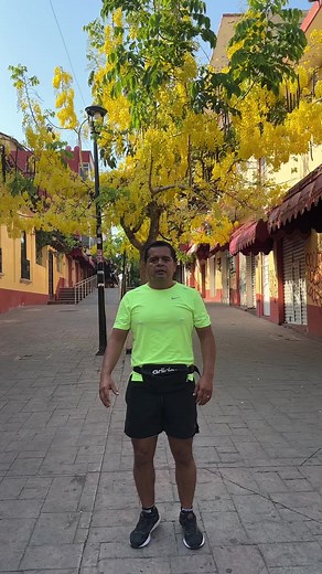 Chilpancingo y sus bellezas naturales | Agencia de Noticias México