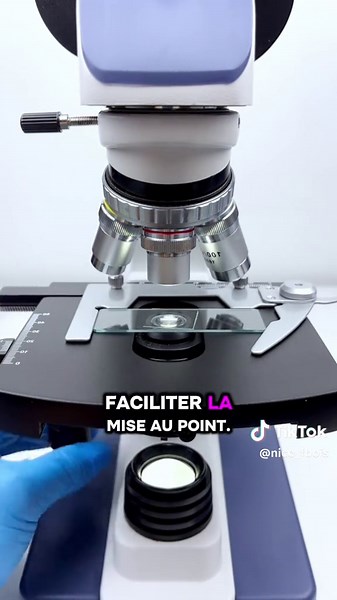 Explorer les insectes aquatiques sous un microscope