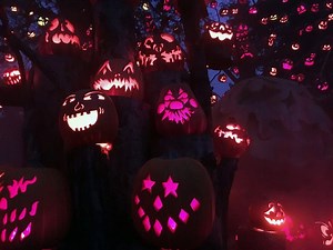 Beverly's Halloween On The Hill Returns For Second Year