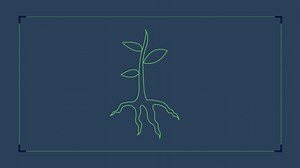 The High-Tech Future of Farming