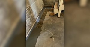 Make your basement waterproof with Everdry Grand Rapids