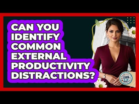 Can You Identify Common External Productivity Distractions?
