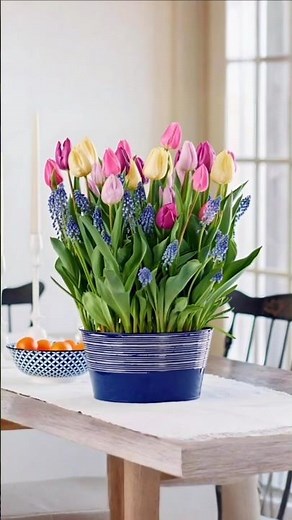 🌷Plant tulips in a pot, and in the spring they will amaze you with lush and vibrant blooms