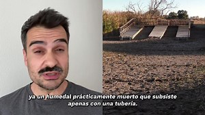 714K views · 5K reactions | Están destruyendo Doñana y el Mar Menor. Mientras que el Gobierno y las administraciones no están haciendo nada para parar la destrucción de nuestra agua. ¡Salvemos el agua! Firma la petición >> https://bit.ly/41E8Abv | Greenpeace España | Facebook