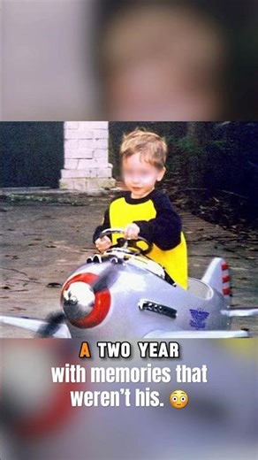 The Boy Who Remembered His Past Life as a WWII Pilot #reincarnation #mystery #trueStory #creepy