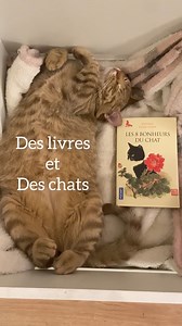 Après 3 ans de succès à Aix-en-Provence, Mon Chat Pitre fait des petits! 😻😻😻 Vous êtes libraire et vous rêvez d’ouvrir la première ronron-librairie de votre région ? Réalisez ce rêve en rejoignant le réseau Mon Chat Pitre ! 📚🐈‍⬛ N’hésitez plus, on vous attend : les candidatures sont officiellement ouvertes ! 👇👇👇 https://www.monchatpitre.com/ouvrir-une-antenne-mon-chat-pitre/ssh-10884 Je compte sur vous pour partager un maximum 🙏 | Mon Chat Pitre