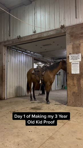 Jabba isn’t impressed. #horsesoftiktok #geldings#screammovie | desensitizing horses