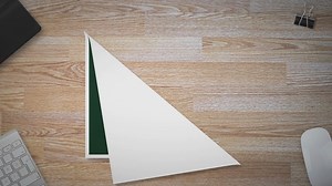 The Joy of Bird Watching: A Short Introduction