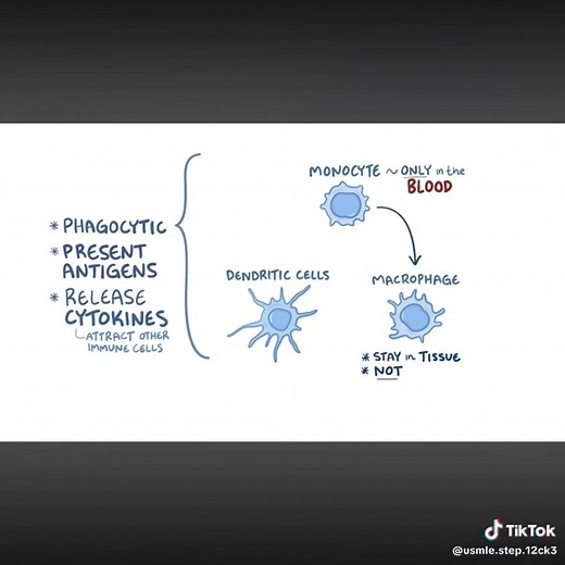 Understanding Immunology: The Immune Response Explained