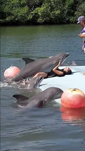 Dolphin does something to a woman