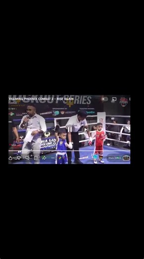 Phoenix Combat Vol 2: Kids Boxing Highlights