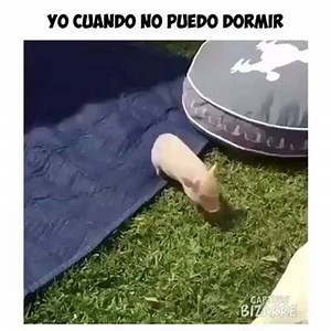 Mas vueltas que un lavarropas | Capture Bizarre