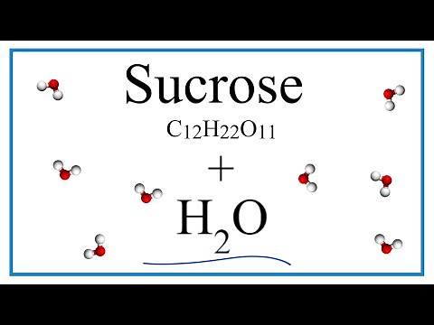 Equation for C12H22O11 + H2O (Sucrose + Water)