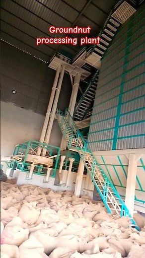 fully automatic machine groundnut processing #trendig #construction #groundnut #food#plantmachinery