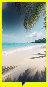 80K views · 259 reactions | ZDFinfo on Reels | Facebook