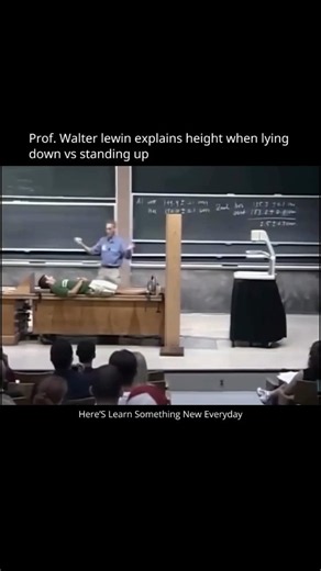What is the actual height of humans? #biology #sciencefacts