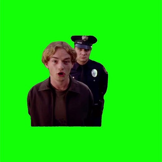 Francis pidiendo disculpas meme - Green Screen