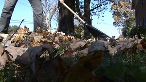 From our weekly backyard residential garbage collection service to our leaf pick up program, we've got you covered. Make sure your garbage and leaves get collected quickly by following these guidelines. | City of Morganton, NC Government