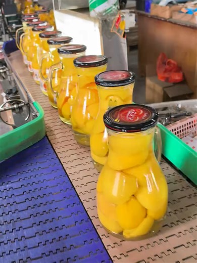 #Chain plate conveyor#Food conveyor belt#Stainless steel conveyor belt