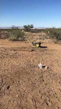 First Step for the Pallet/Cob Cabin. Gravel for the floor.